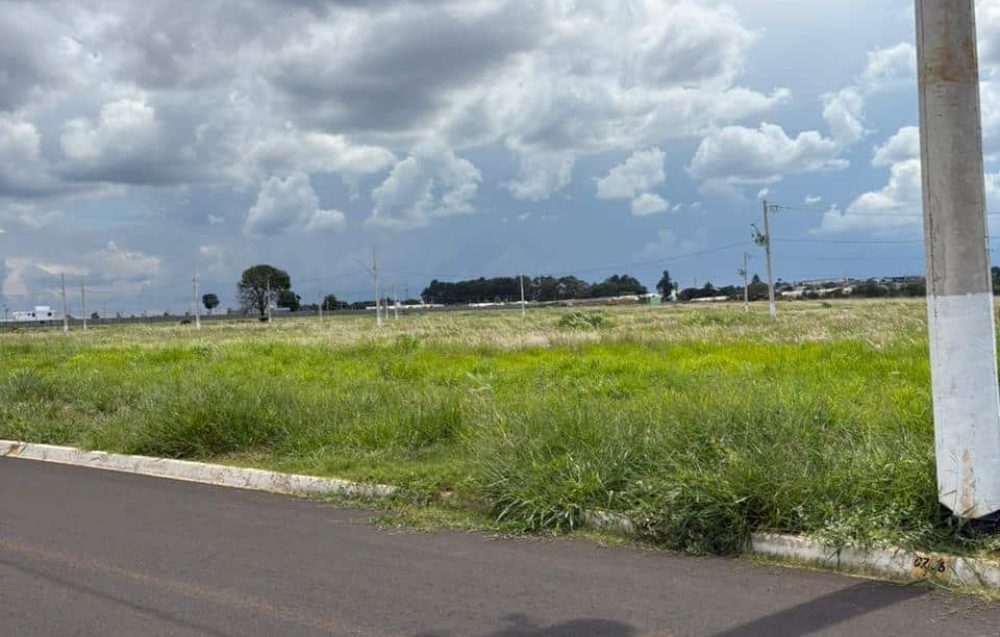 WhatsApp Image 2026-02-20 at 19.55.10